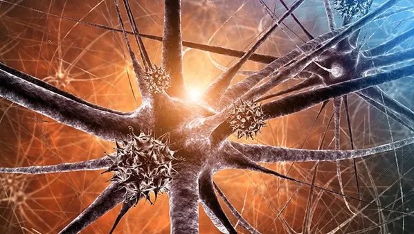 神经官能症怎么治疗