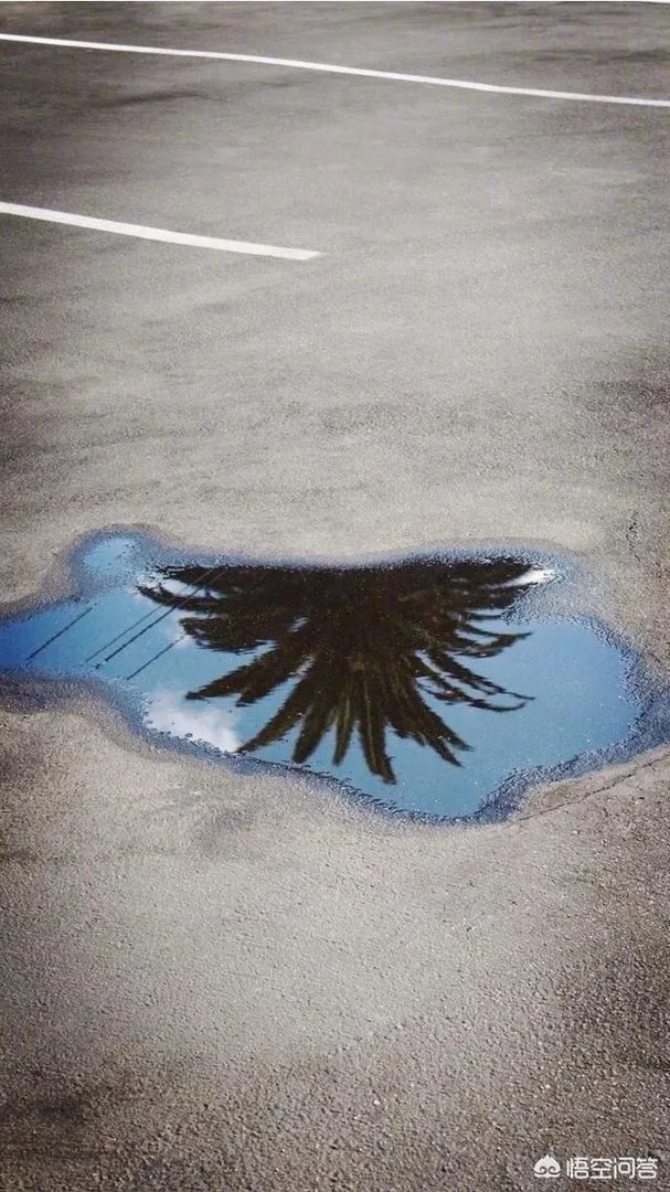 有什么好看的、景色秀丽的壁纸？