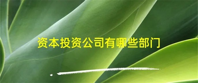 资本投资公司有哪些部门