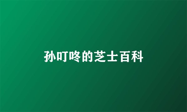 孙叮咚的芝士百科