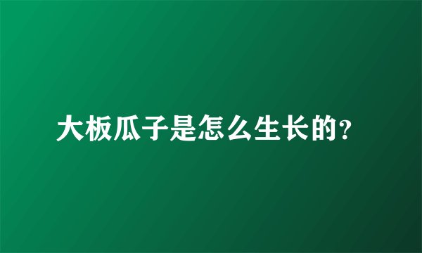大板瓜子是怎么生长的？