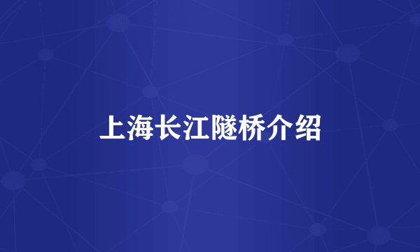 上海长江隧桥介绍