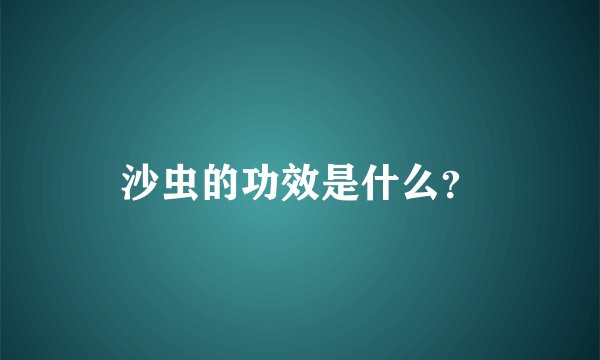 沙虫的功效是什么？