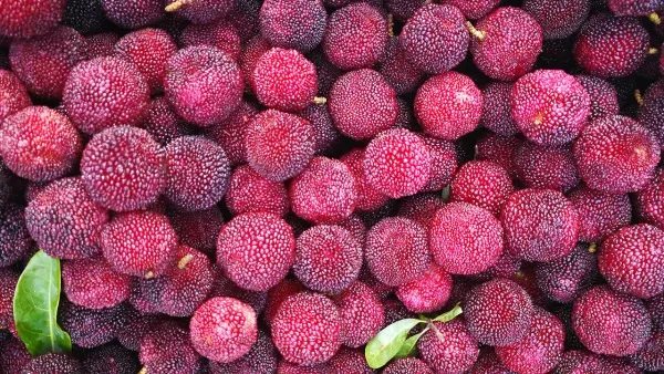 消化不良吃什么水果