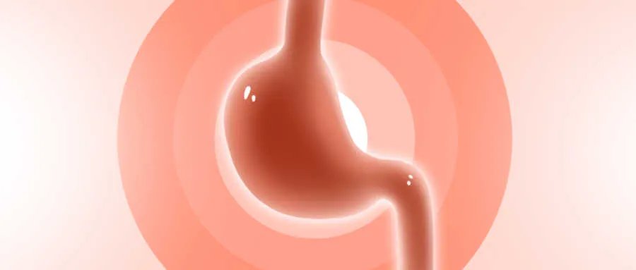 磁石的作用与功效