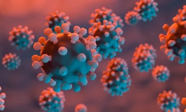 2022年4月25日简报：上海昨日新增本土病例2472+16983例，死亡51例，平均年龄84.2岁；全球疫情暴发2年以来，首次日死亡人数低于1000人