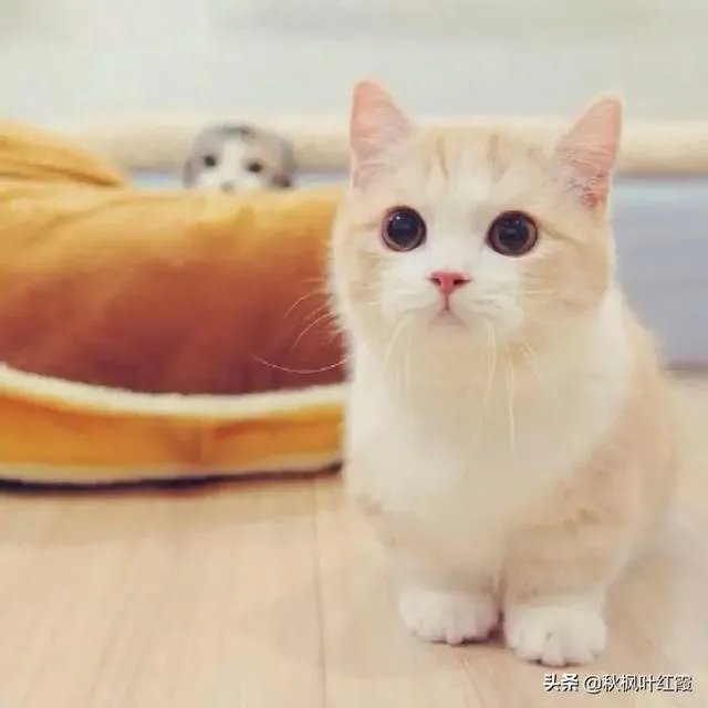 五音不全怎么办？