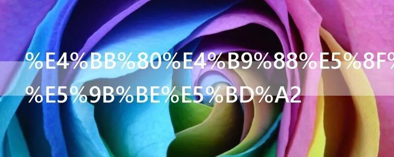 什么叫矢量图形