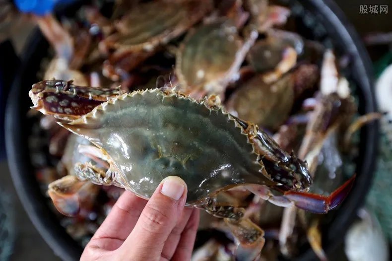 梭子蟹多少钱一斤 2017年梭子蟹最新价格