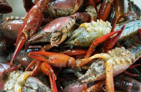 冰冻龙虾怎么做好吃