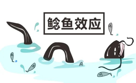 鲶鱼效应是什么意思