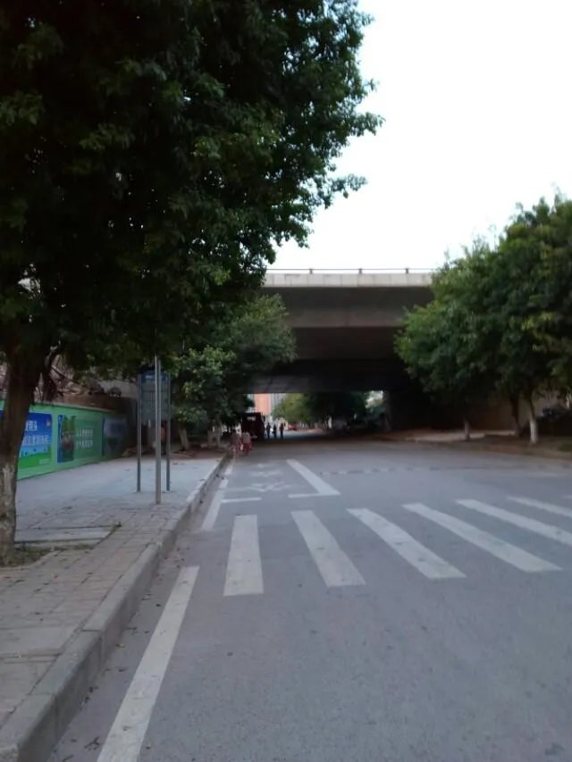 四川大学哪个专业比较好?