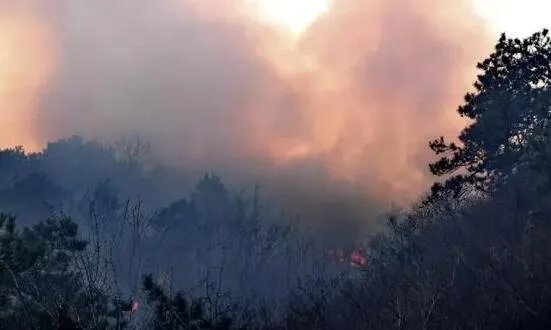 四川火灾最新消息今天 凉山森林火灾原因揭秘