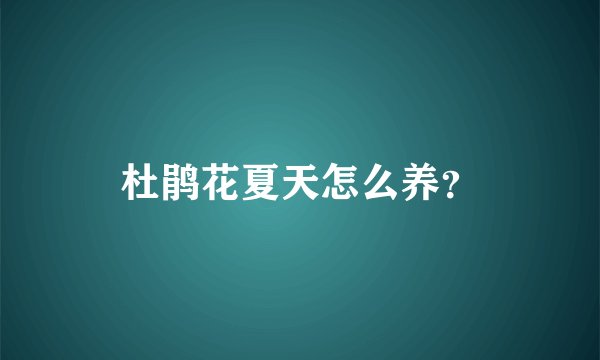 杜鹃花夏天怎么养？