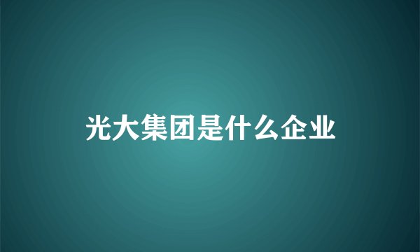 光大集团是什么企业
