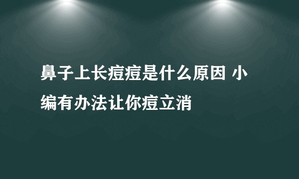 鼻子上长痘痘是什么原因 小编有办法让你痘立消