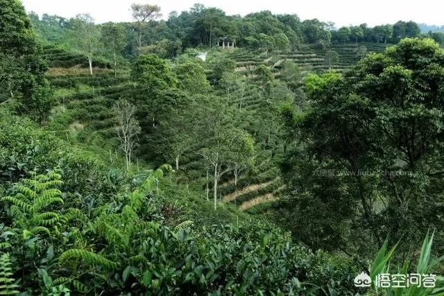 广西梧州是一个怎样的城市？