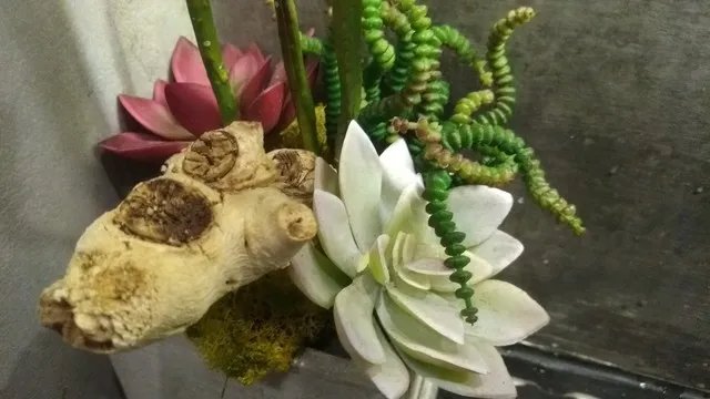 海信双屏手机A2评测 彰显黑科技不只一面