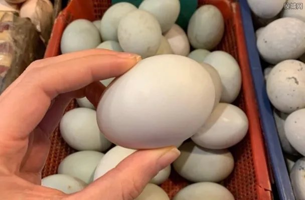 今日鸭蛋价格多少 来看最新价格行情查询