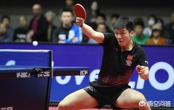 亚洲杯樊振东拒绝爆冷4-1逆转张本智和晋级决赛。双方实力差距真有这么大吗？