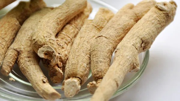 西洋参的禁忌人群