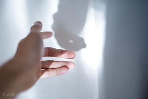 职场心理学讲的是什么？