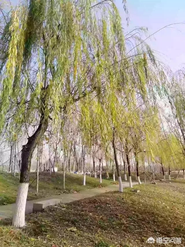 现在的90后是不是真的已经老了？