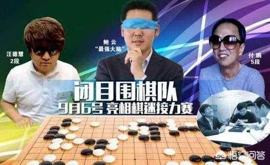 最强大脑鲍橒那么聪明，为什么只是围棋业余6段？