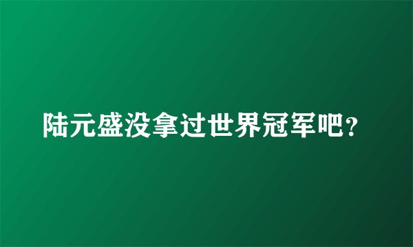 陆元盛没拿过世界冠军吧？