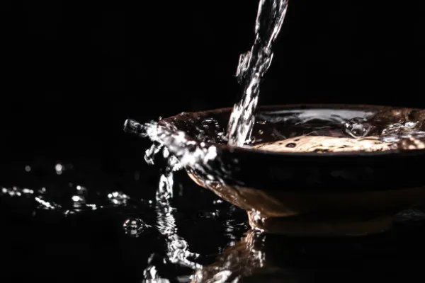 葡萄美酒夜光杯,欲饮琵琶马上催。是谁的诗作