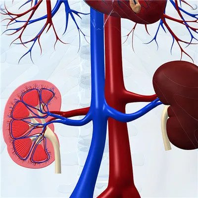 肾结石治疗方法有哪些?