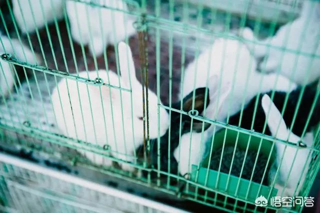 女孩子经常拍花的照片给我看是什么意思？