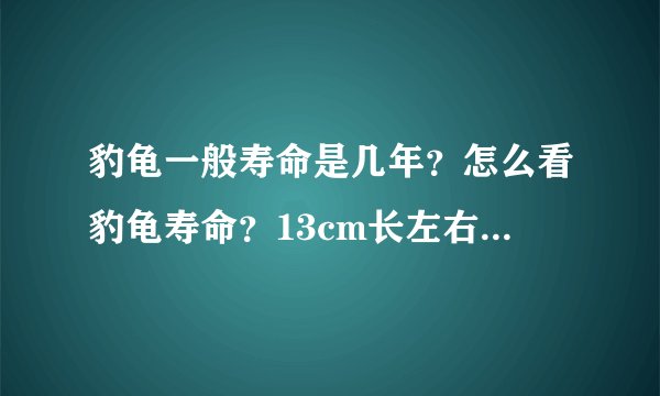 豹龟一般寿命是几年？怎么看豹龟寿命？13cm长左右的豹龟还能活几年？请懂的人、喜欢豹龟的详细解答谢谢哈