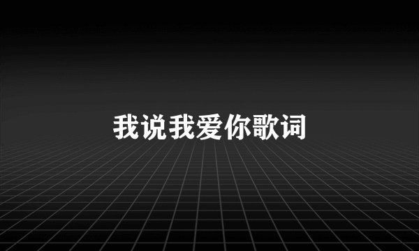 我说我爱你歌词