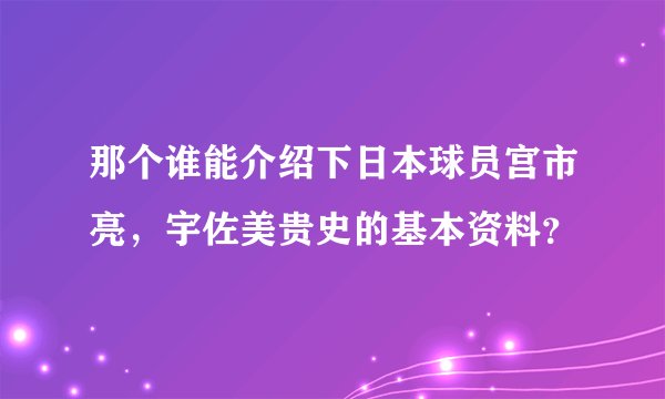 那个谁能介绍下日本球员宫市亮，宇佐美贵史的基本资料？