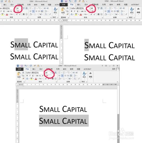 word设小型大写字母small capitals