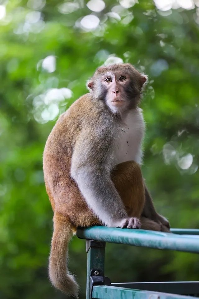 佳能RF广角标准长焦镜头 哪款适合你？