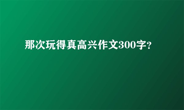 那次玩得真高兴作文300字？