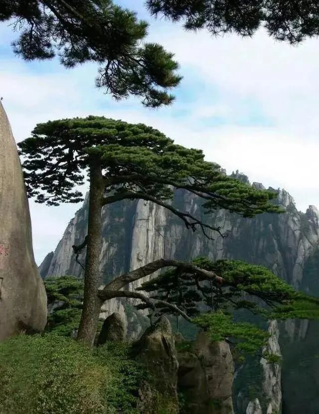 黄山三日游多少钱？