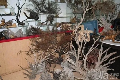 如何判断海柳真假 海柳烟嘴的价格