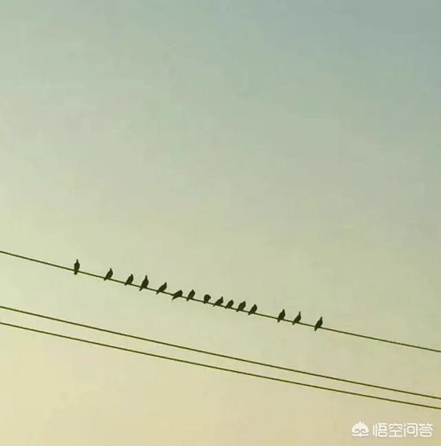 有什么好看的、景色秀丽的壁纸？