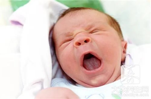 育儿经验分享心得体会是什么?