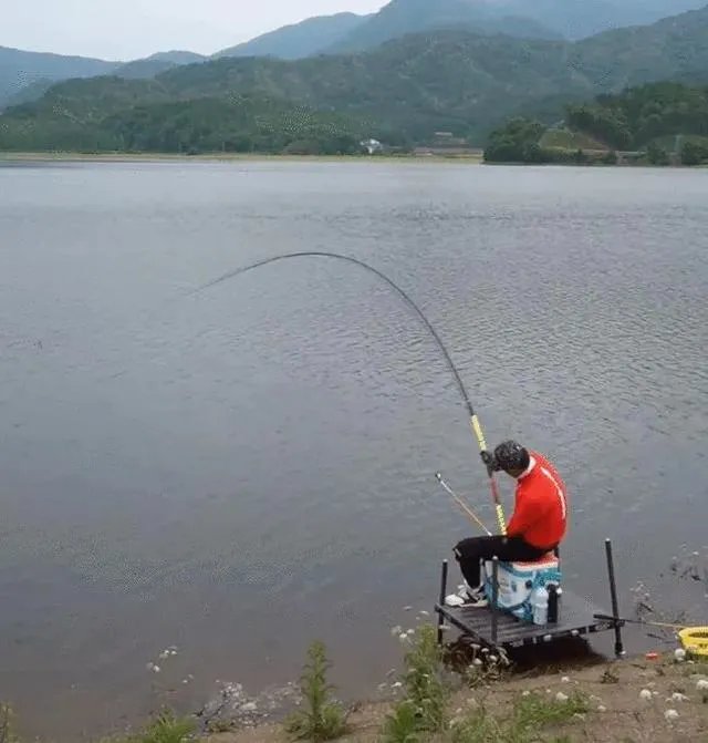 为什么邓刚钓鱼能吸引那么多粉丝，一路疯涨2000多万？