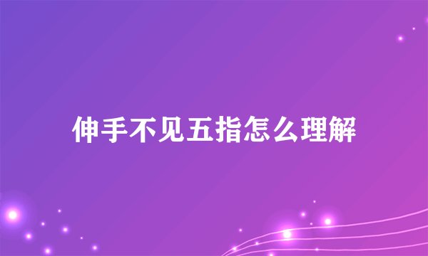 伸手不见五指怎么理解