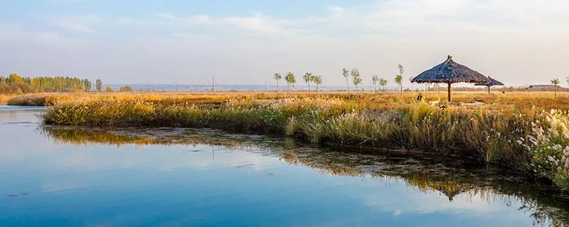 银川属于哪个省 银川的省份是什么