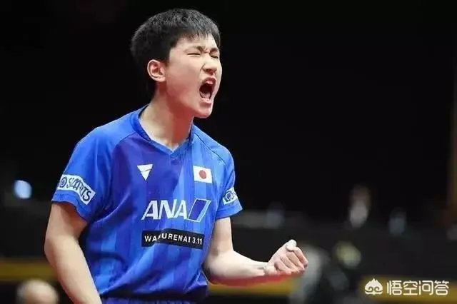 亚洲杯樊振东拒绝爆冷4-1逆转张本智和晋级决赛。双方实力差距真有这么大吗？