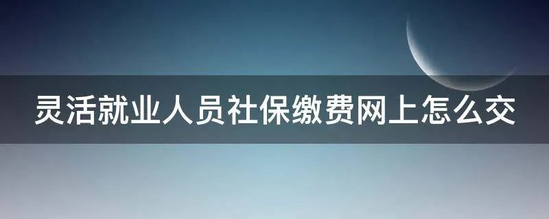 灵活就业人员社保缴费网上怎么交