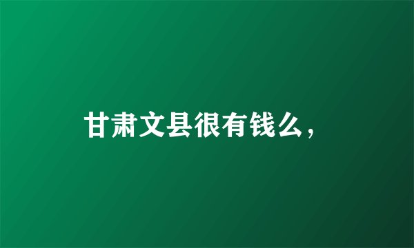甘肃文县很有钱么，