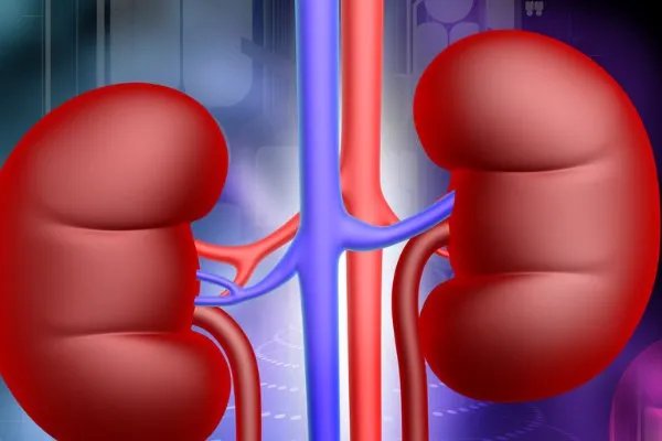 肾虚要先补气，否则越补越虚！那么如何补气呢？