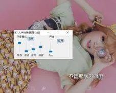 伴奏中国 官方网站 中国最大的专业伴奏网怎么样